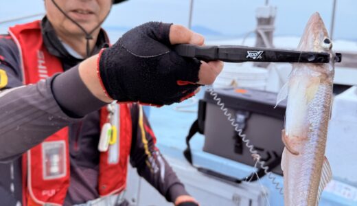 6/7 キス釣り釣果報告
