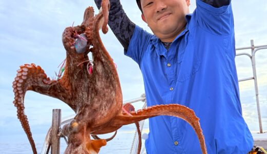 6/21 タコ釣り 釣果報告