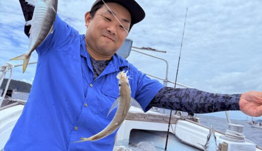 6/21 釣果報告 アジ釣り編