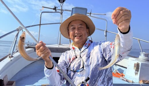 先日のキス釣り 釣果報告