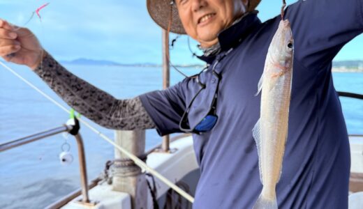 7/21 キス釣り釣果報告