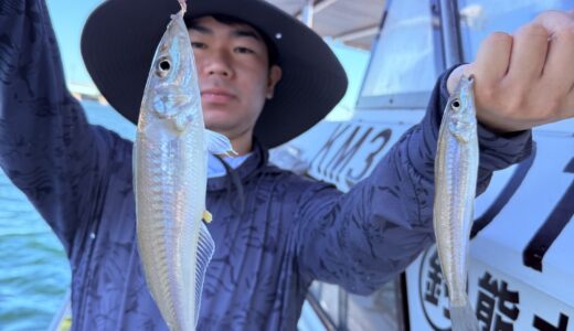 最近のキス釣り 釣果報告