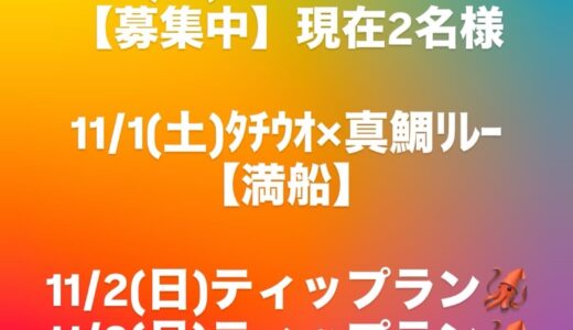 ティップラン募集中🦑