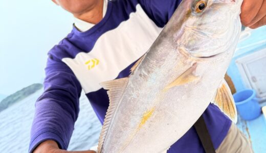 10/3 ライト青物 釣果報告