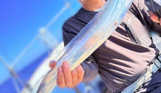 9/30 タチウオ釣果報告