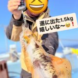 週末ティップラン募集