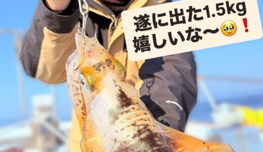 週末ティップラン募集