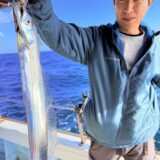 11/1 タチウオ釣果報告