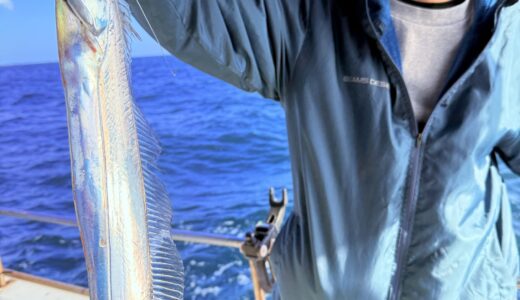 11/1 タチウオ釣果報告