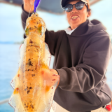 11/2 ティップラン調査 釣果報告