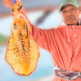 11/11 湾内ティップラン調査釣行