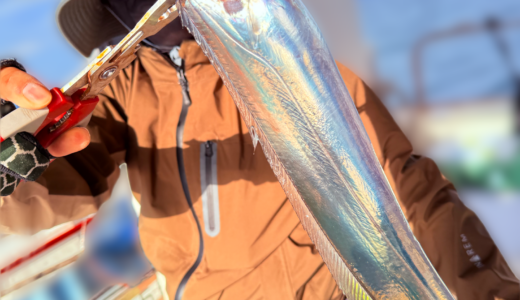 タチウオ釣果報告