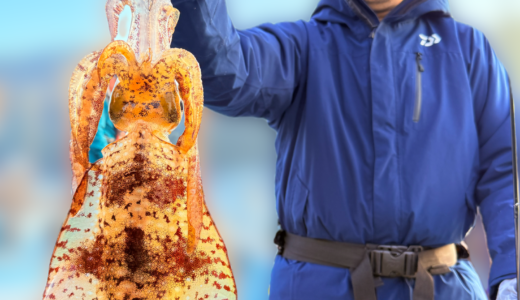 11/14 近場ティップラン釣果報告