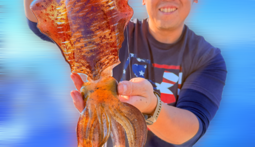 11/8 ティップラン釣果報告