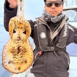 爆釣 ティップラン釣果報告