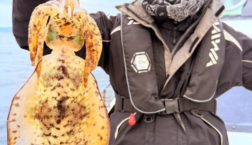 11/24 ティップラン釣果報告