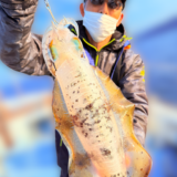 連日爆釣🎵ティップラン釣果報告