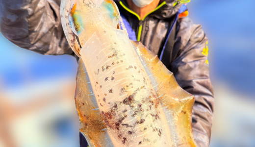 連日爆釣🎵ティップラン釣果報告