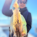 11/22 ティップラン釣果報告