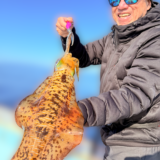 11/29 ティップラン釣果報告