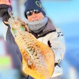 11/26 ティップラン釣果報告