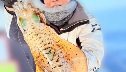 11/26 ティップラン釣果報告