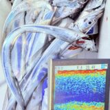 12/27 タチウオ釣果報告