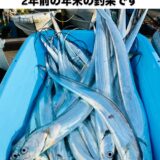 年末タチウオ釣りのご案内