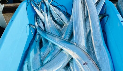 年末タチウオ釣りのご案内