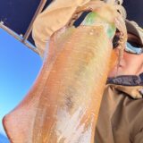 近場で一人ティップラン