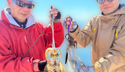 11/23 ティップラン釣果報告