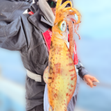 11/30 ティップラン 釣果報告