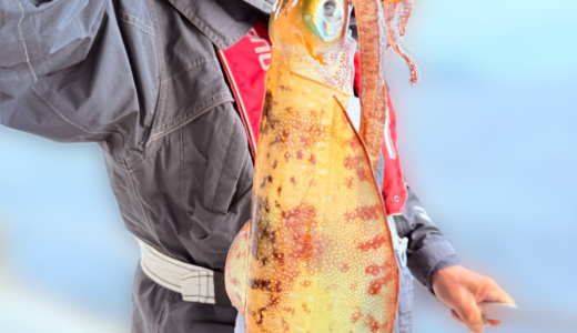 11/30 ティップラン 釣果報告