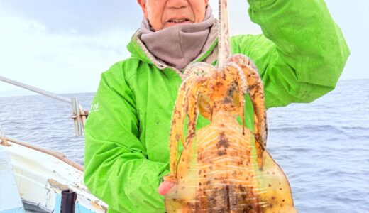 12/1 ティップラン釣果報告