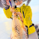 12/2 ティップラン釣果報告