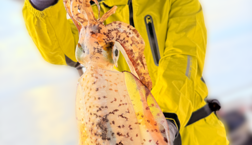 12/2 ティップラン釣果報告