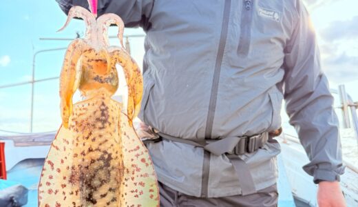 12/7 ティップラン釣果報告