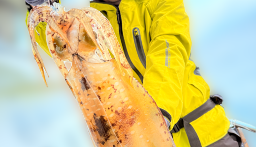 12/11 ティップラン釣果報告