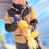 12/15 ティップラン釣果報告