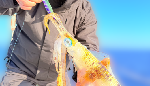 12/16 ティップラン釣果報告