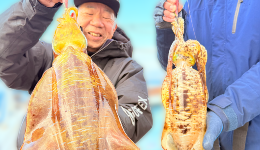 12/17 ティップラン釣果報告