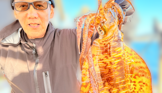 12/23 ティップラン釣果報告