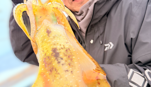 12/24 ティップラン 釣果報告