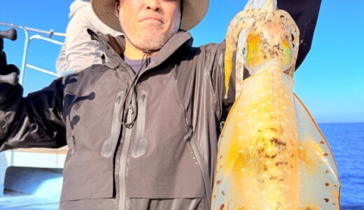 12/18 ティップラン釣果報告