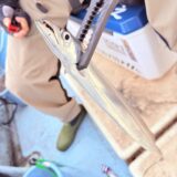 12/29 タチウオ釣果報告