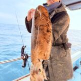 12/30 ティップラン釣果報告