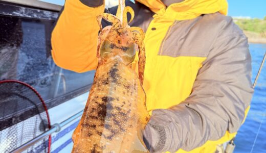 1/7 ティップラン釣果報告