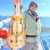 1/9 ティップラン釣果報告