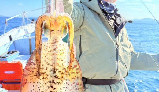 1/9 ティップラン釣果報告