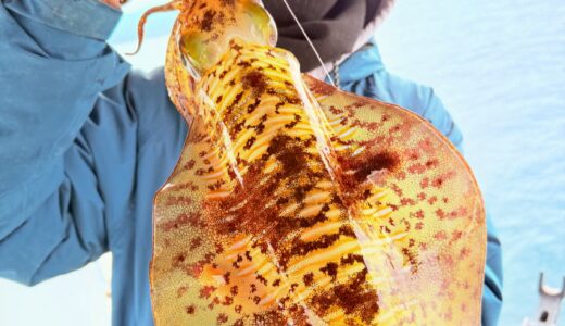 タフ神が神様になった日